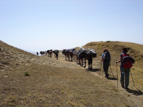 trekking con i muli-10.jpg